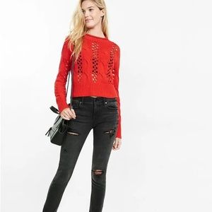 Express Knit Sweater